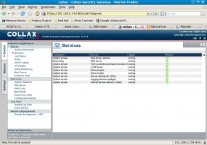 The Services page shows running programs.